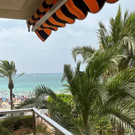 Palmeral Locos Торевьиа