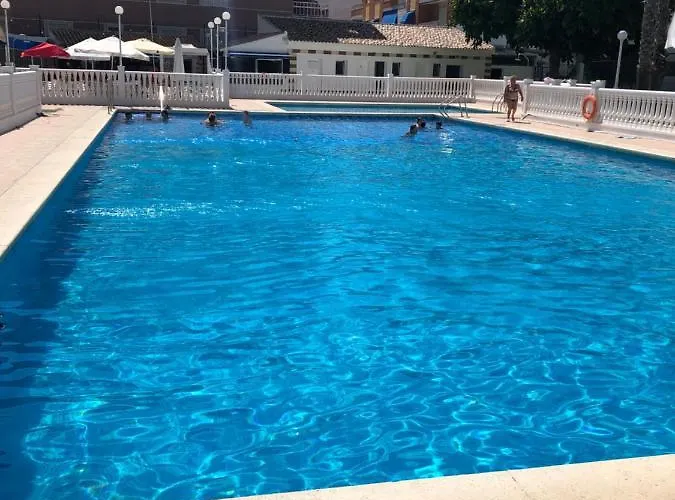 Palmeral Locos Torrevieja