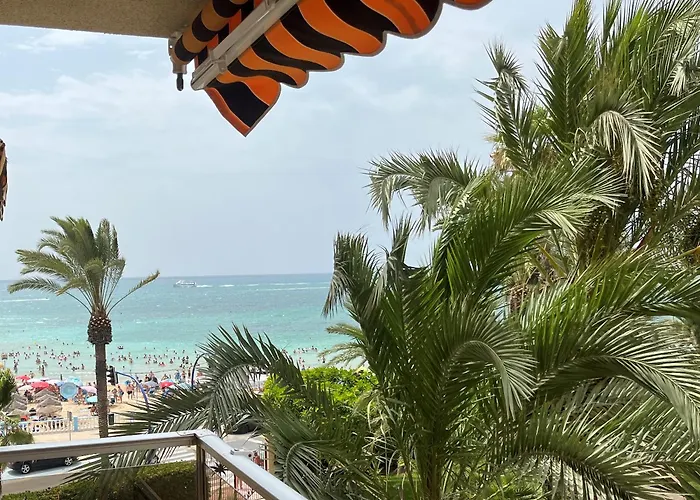 Palmeral Locos Torrevieja