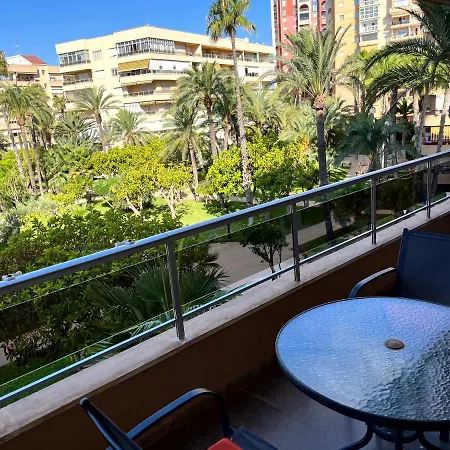 Palmeral Locos 托雷维耶哈