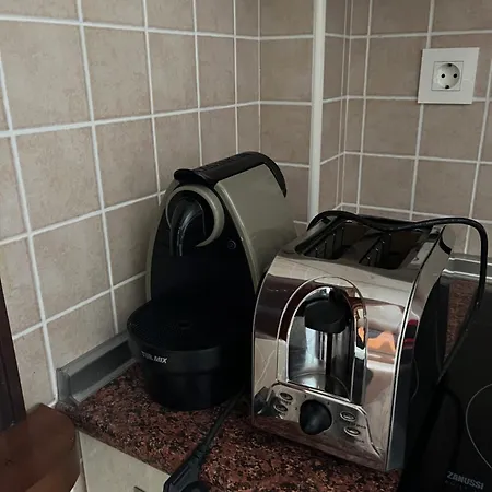 Palmeral Locos * 托雷维耶哈