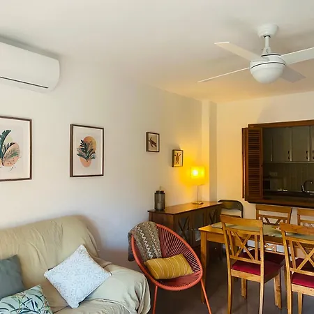 Palmeral Locos 公寓 托雷维耶哈