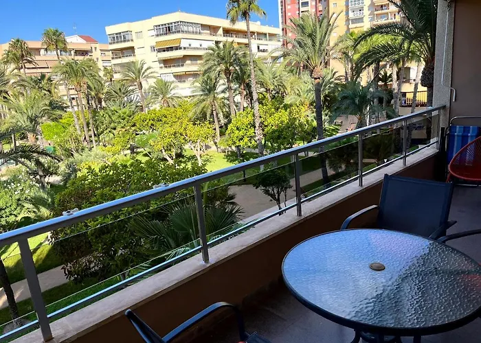 Palmeral Locos تورّيفيِخا