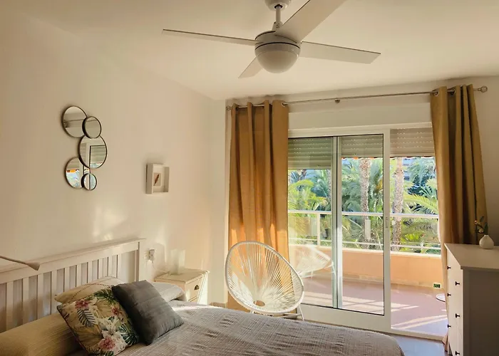 Palmeral Locos تورّيفيِخا